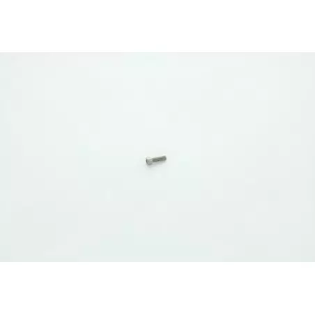 VIC M6x20 POUR AUTOLAVEUSE DULEVO